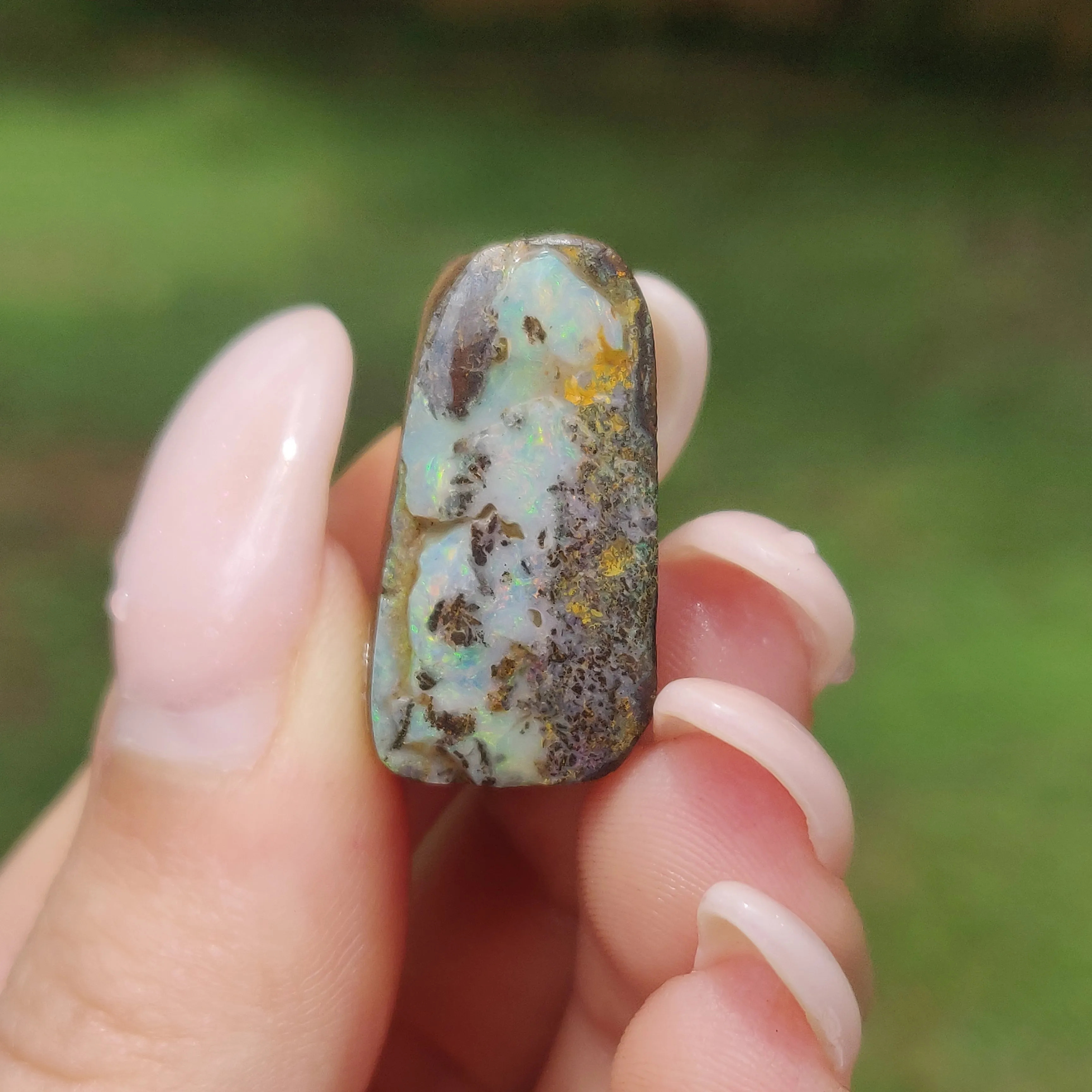 Australian Boulder Opal Rough Specimen(#8)