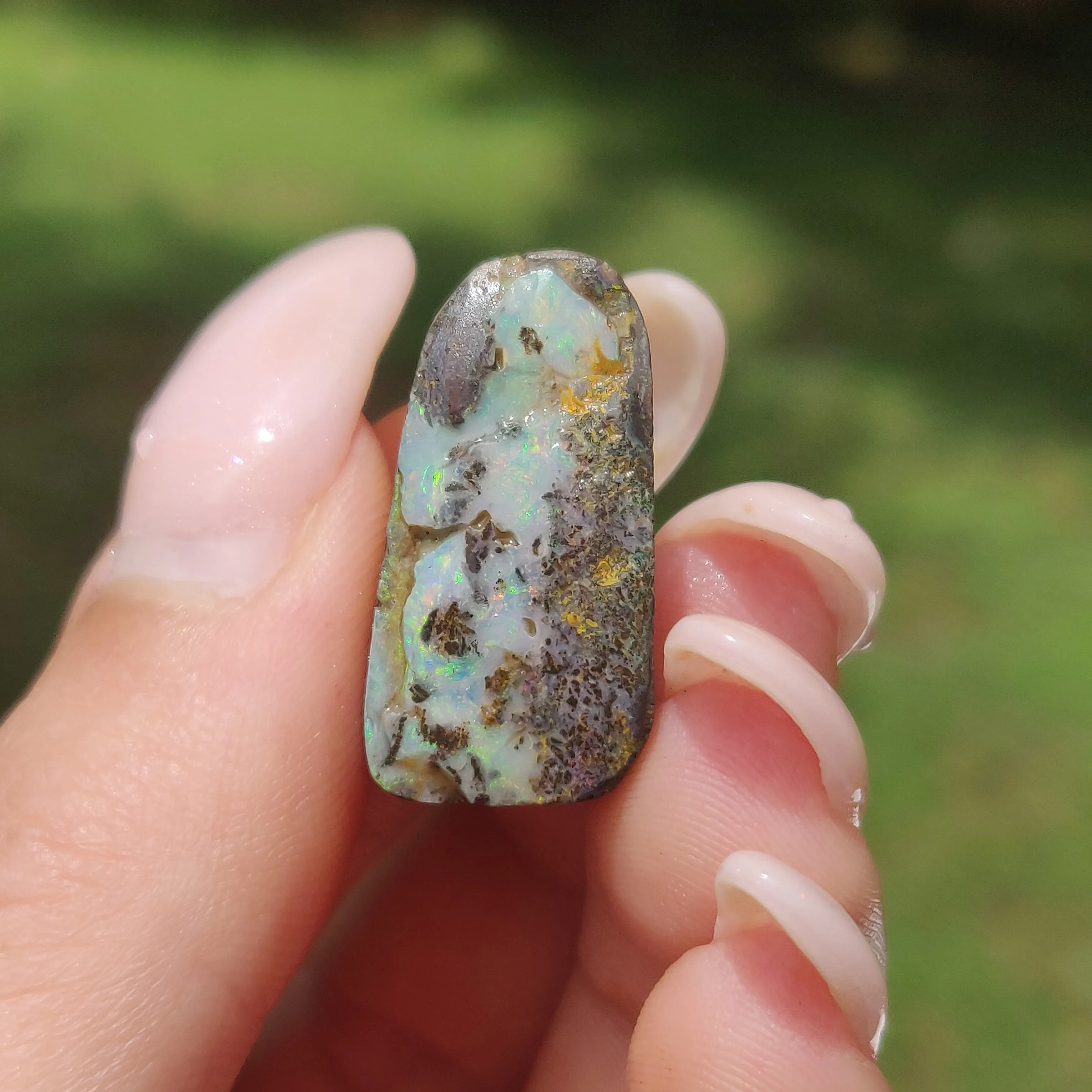 Australian Boulder Opal Rough Specimen(#8)
