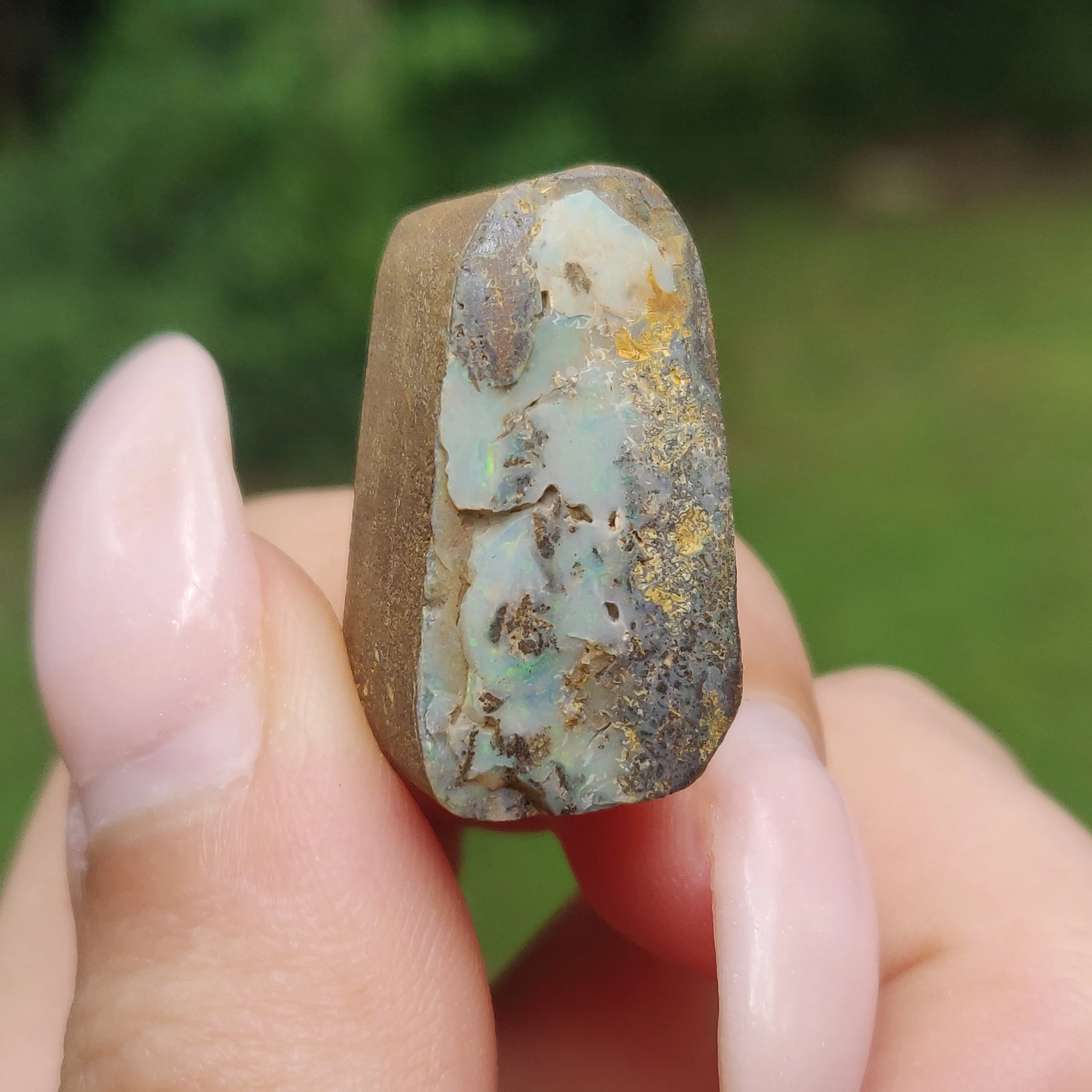 Australian Boulder Opal Rough Specimen(#8)