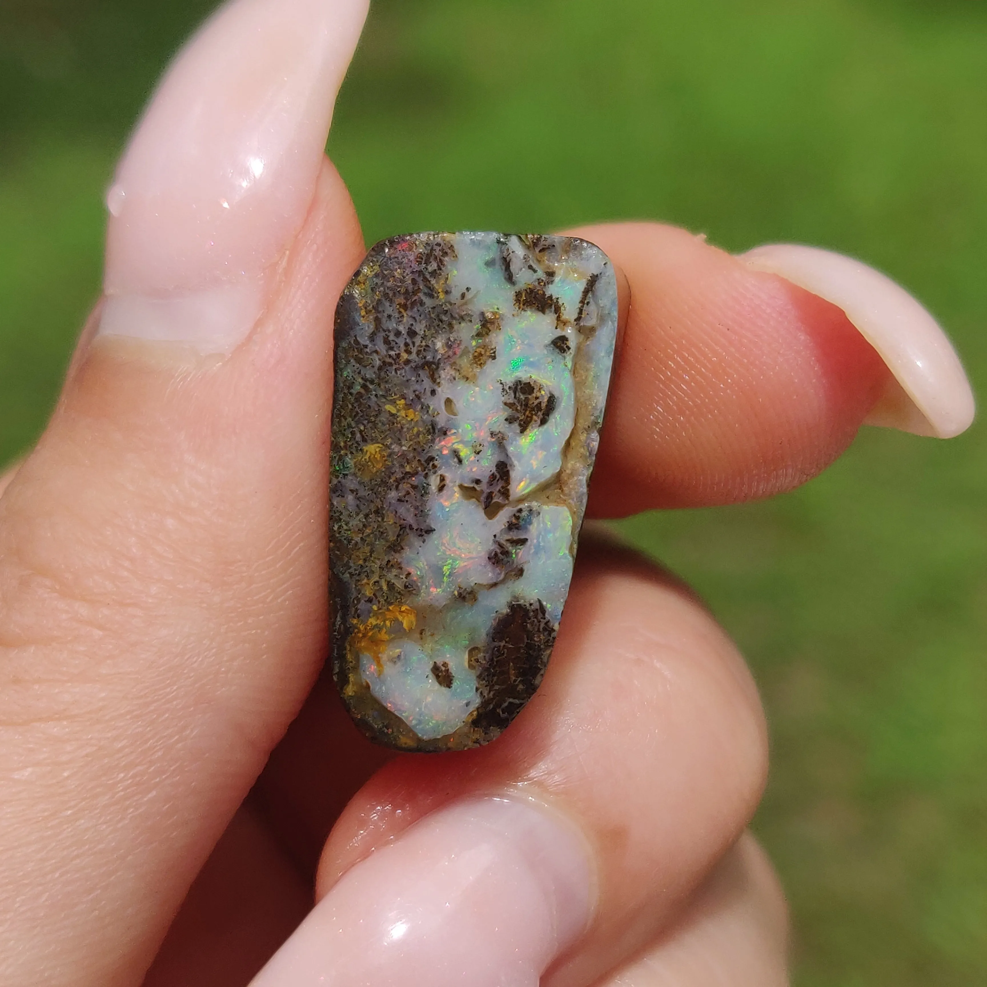 Australian Boulder Opal Rough Specimen(#8)
