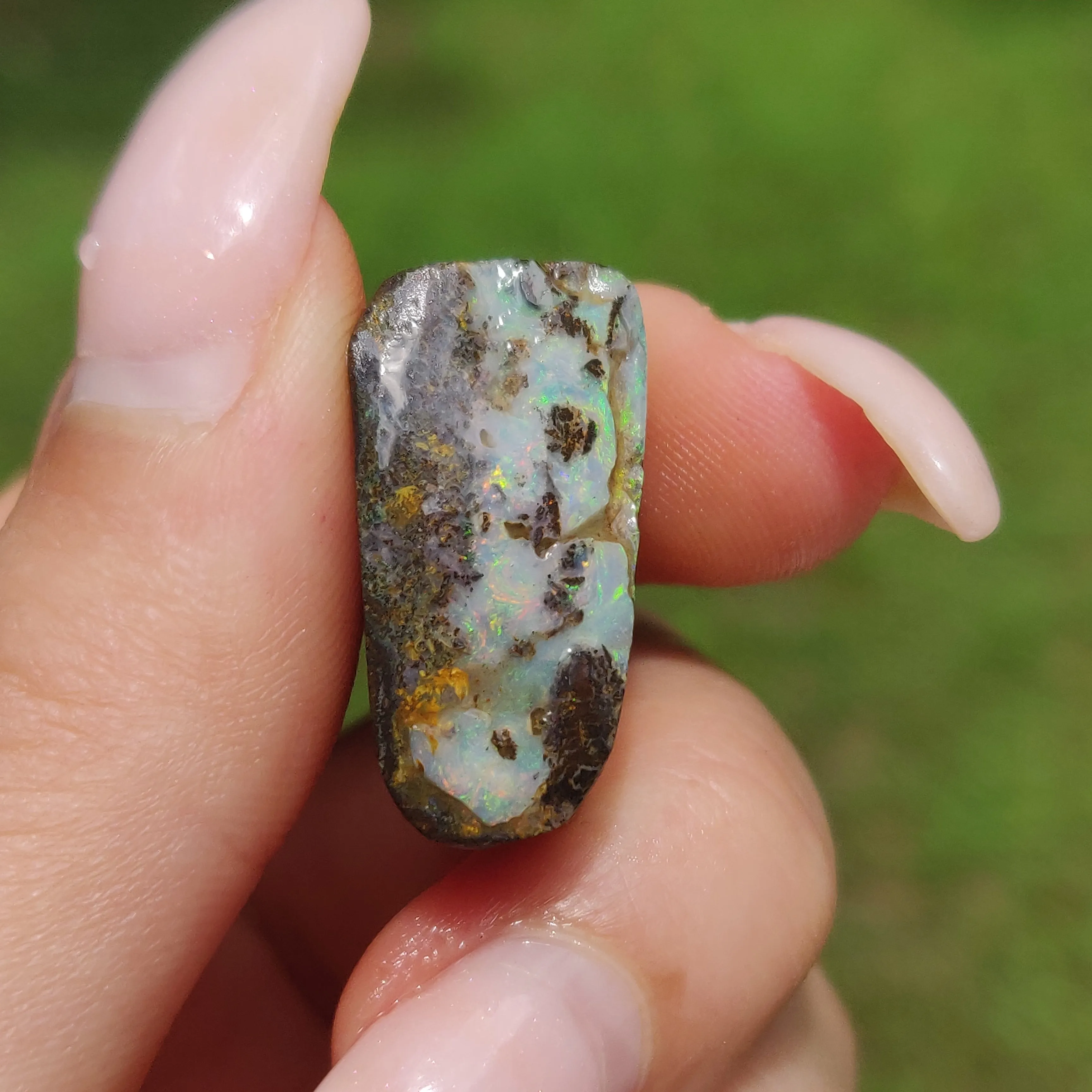 Australian Boulder Opal Rough Specimen(#8)