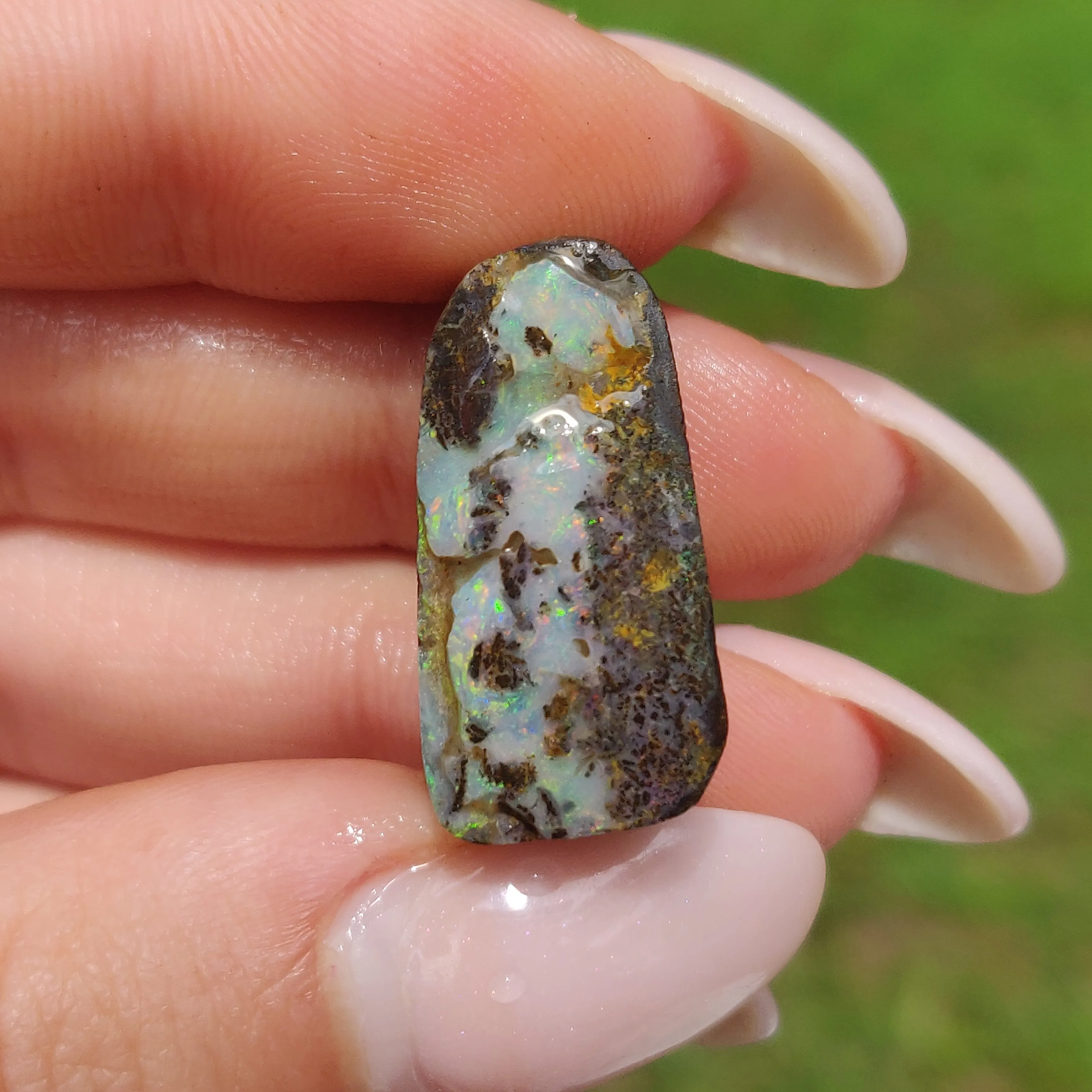 Australian Boulder Opal Rough Specimen(#8)