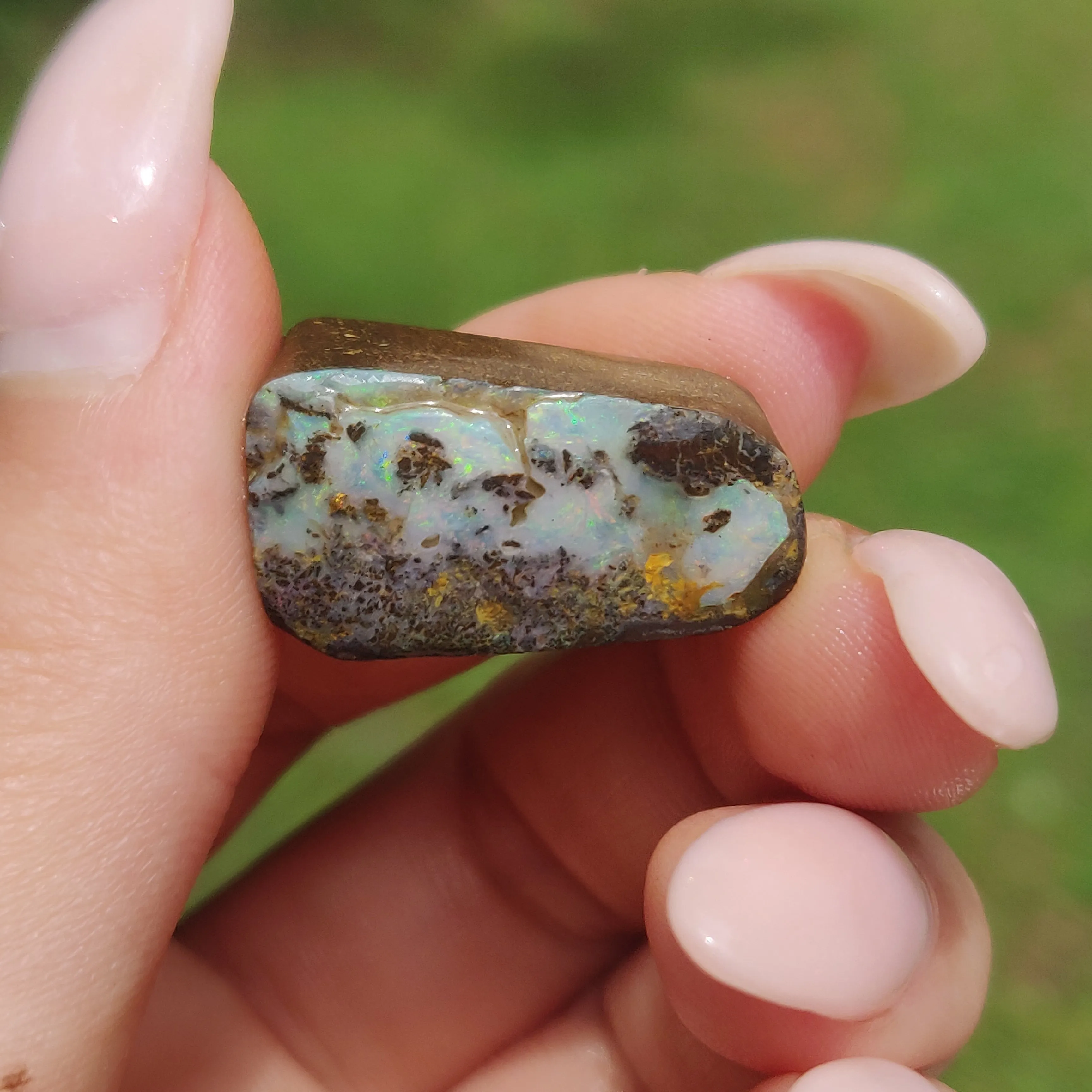 Australian Boulder Opal Rough Specimen(#8)