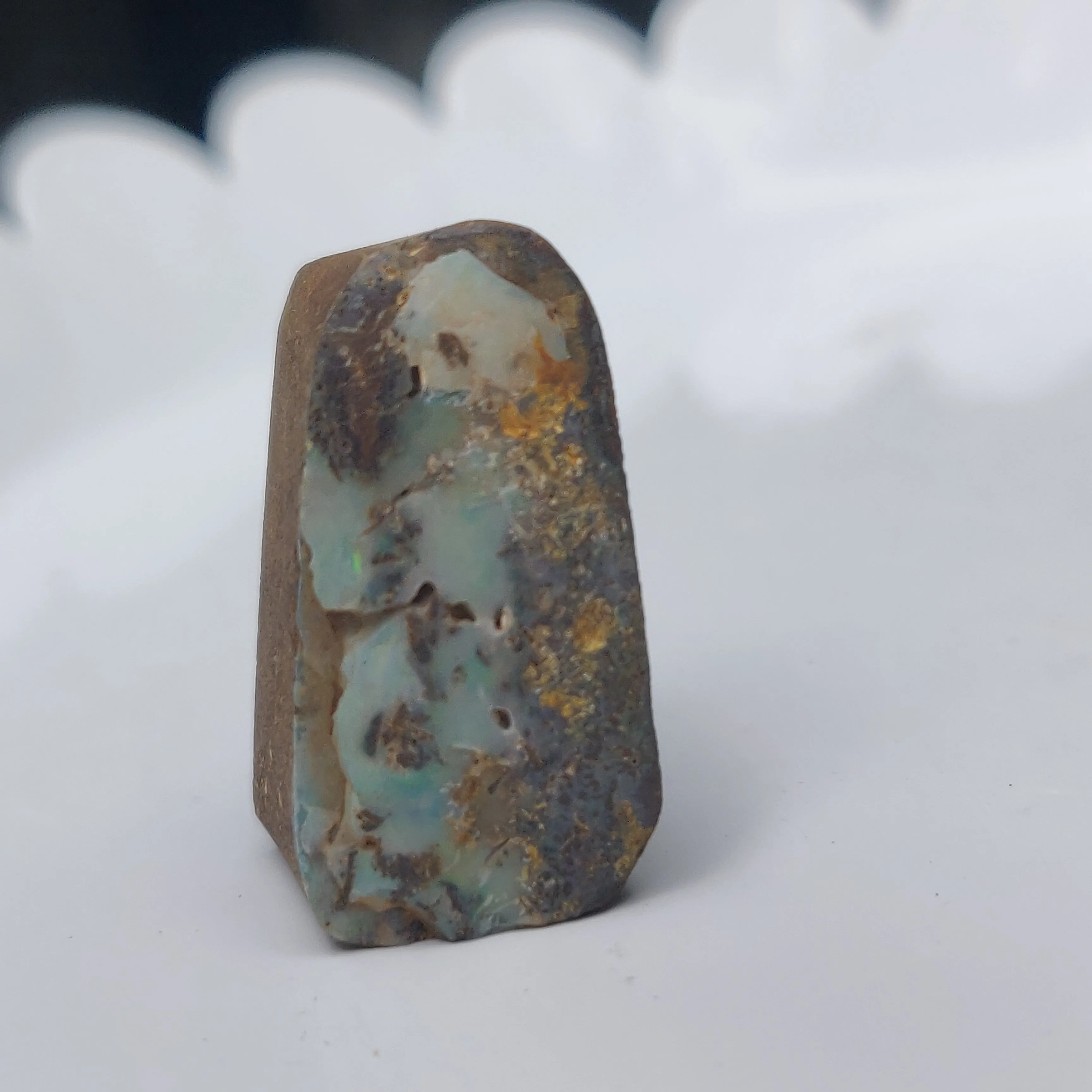 Australian Boulder Opal Rough Specimen(#8)