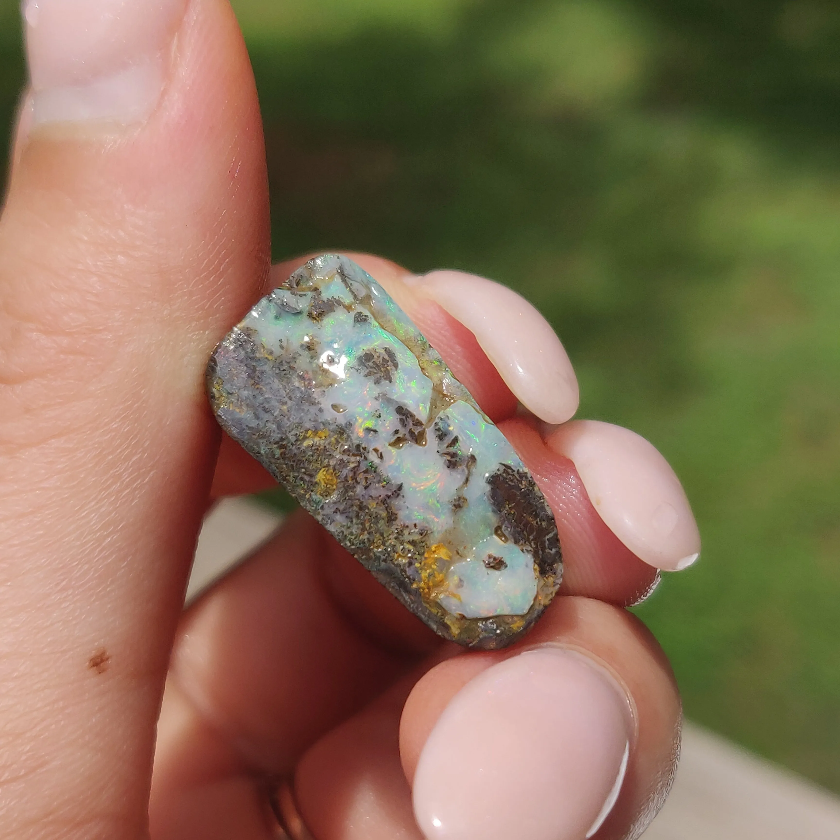 Australian Boulder Opal Rough Specimen(#8)
