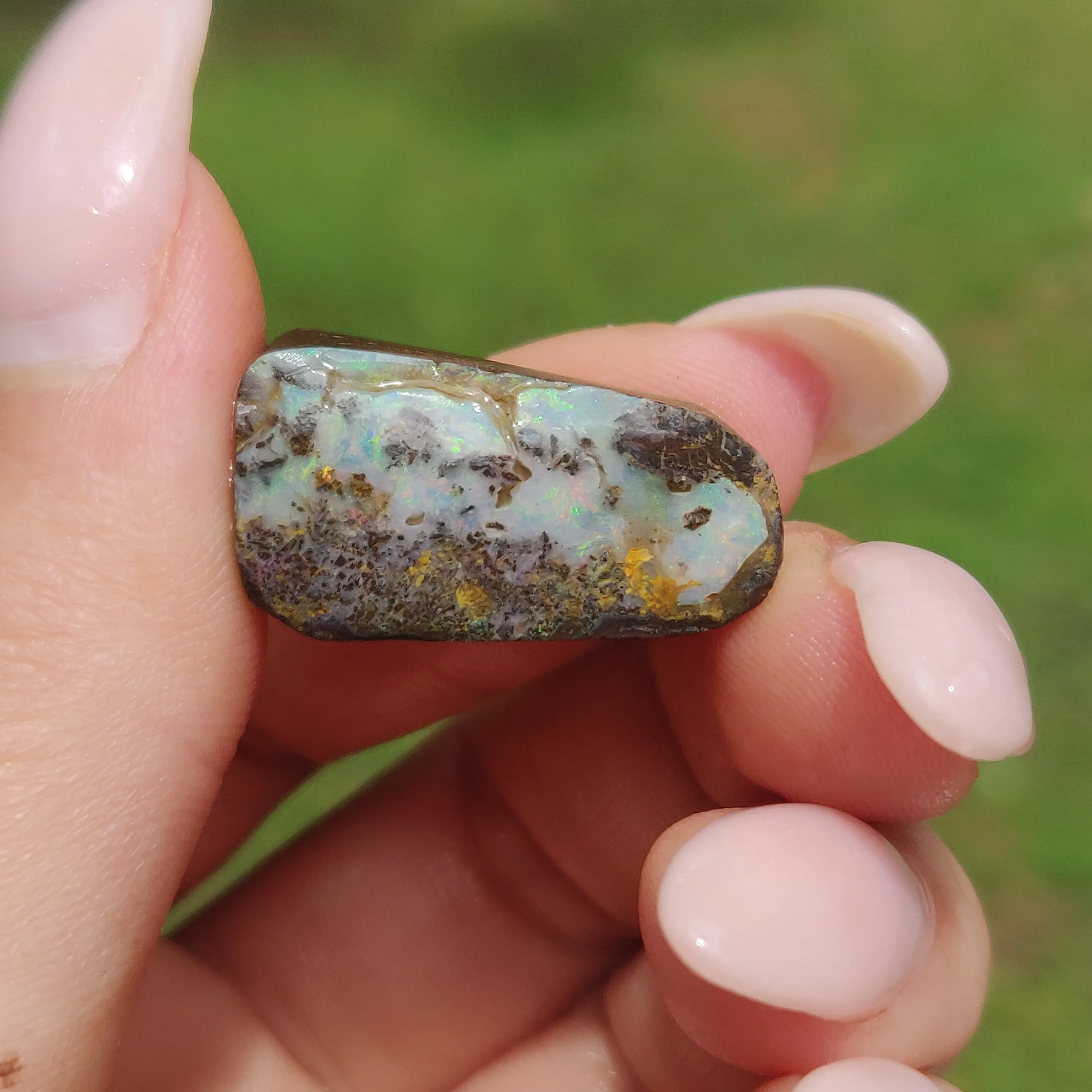 Australian Boulder Opal Rough Specimen(#8)