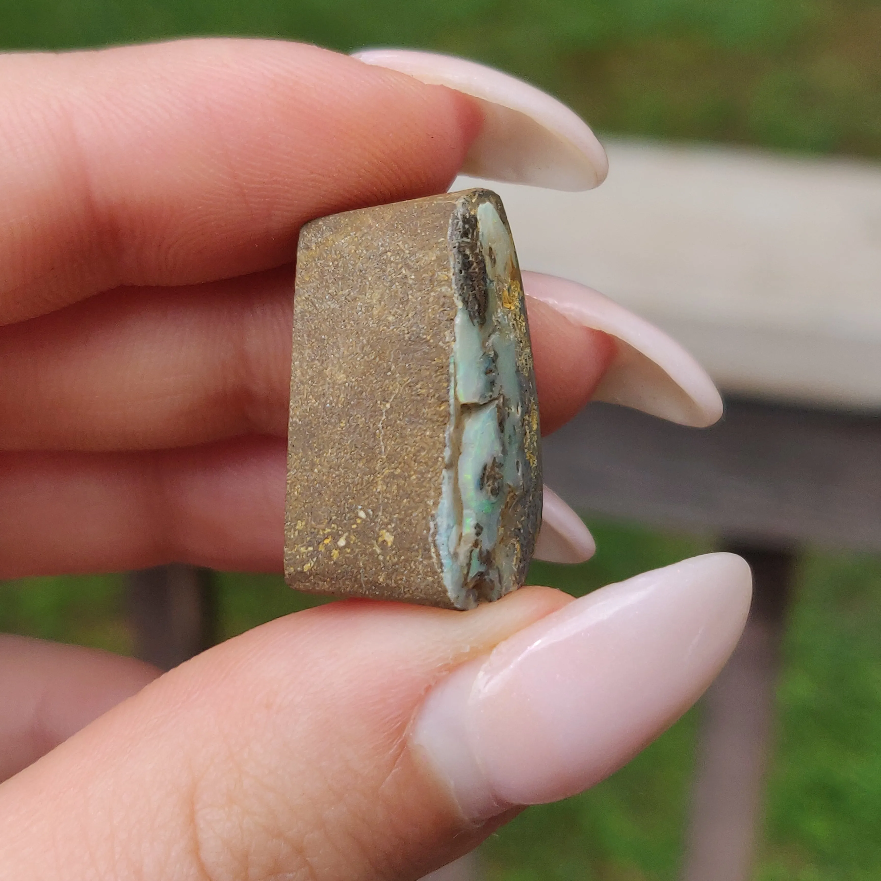 Australian Boulder Opal Rough Specimen(#8)