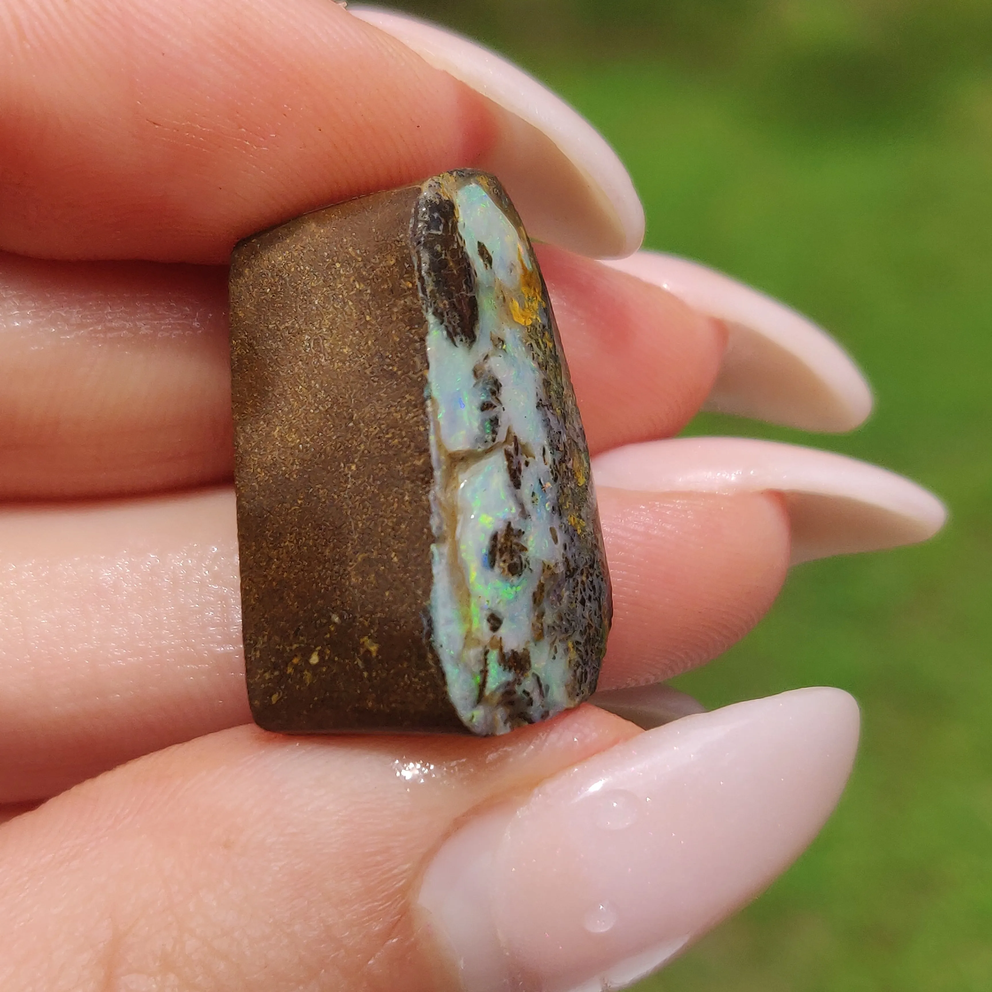 Australian Boulder Opal Rough Specimen(#8)