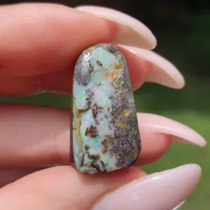 Australian Boulder Opal Rough Specimen(#8)