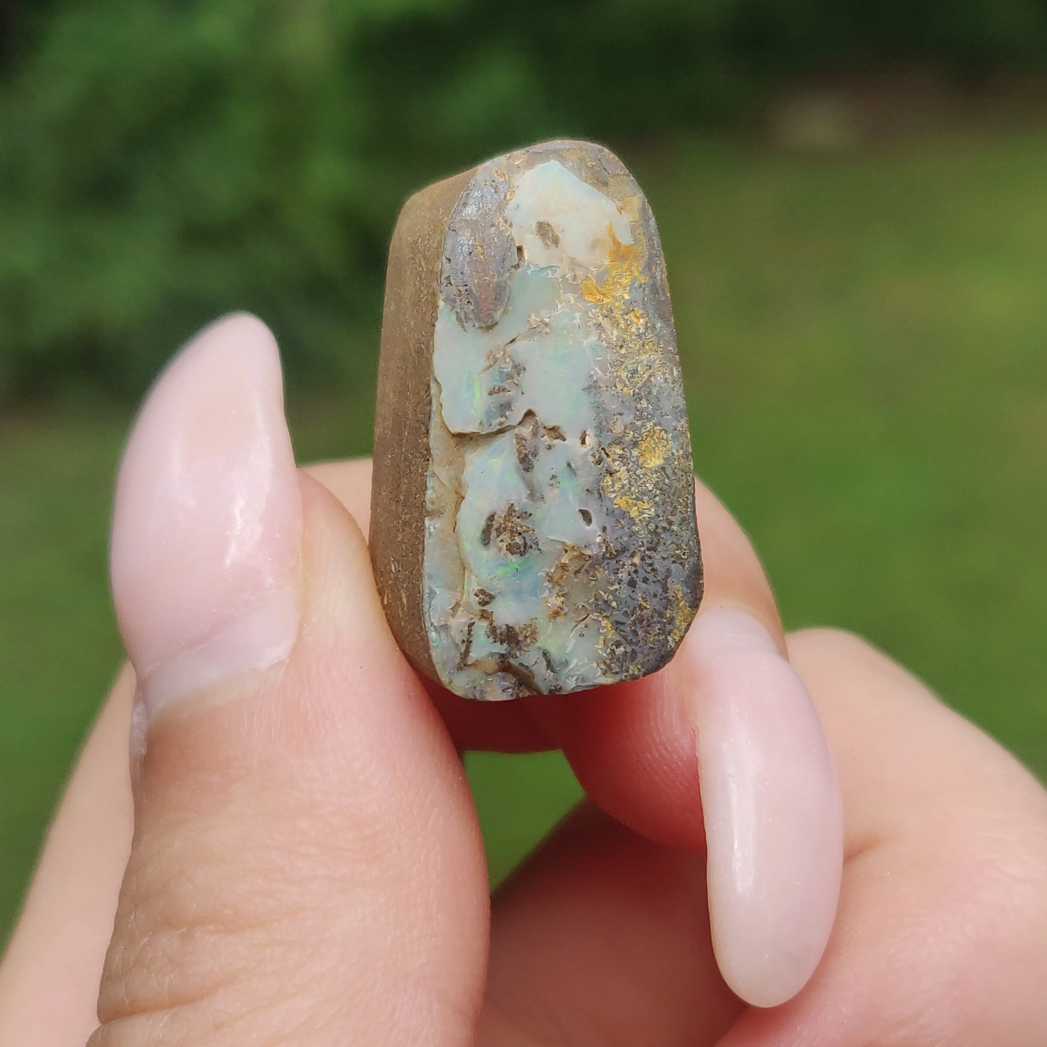 Australian Boulder Opal Rough Specimen(#8)