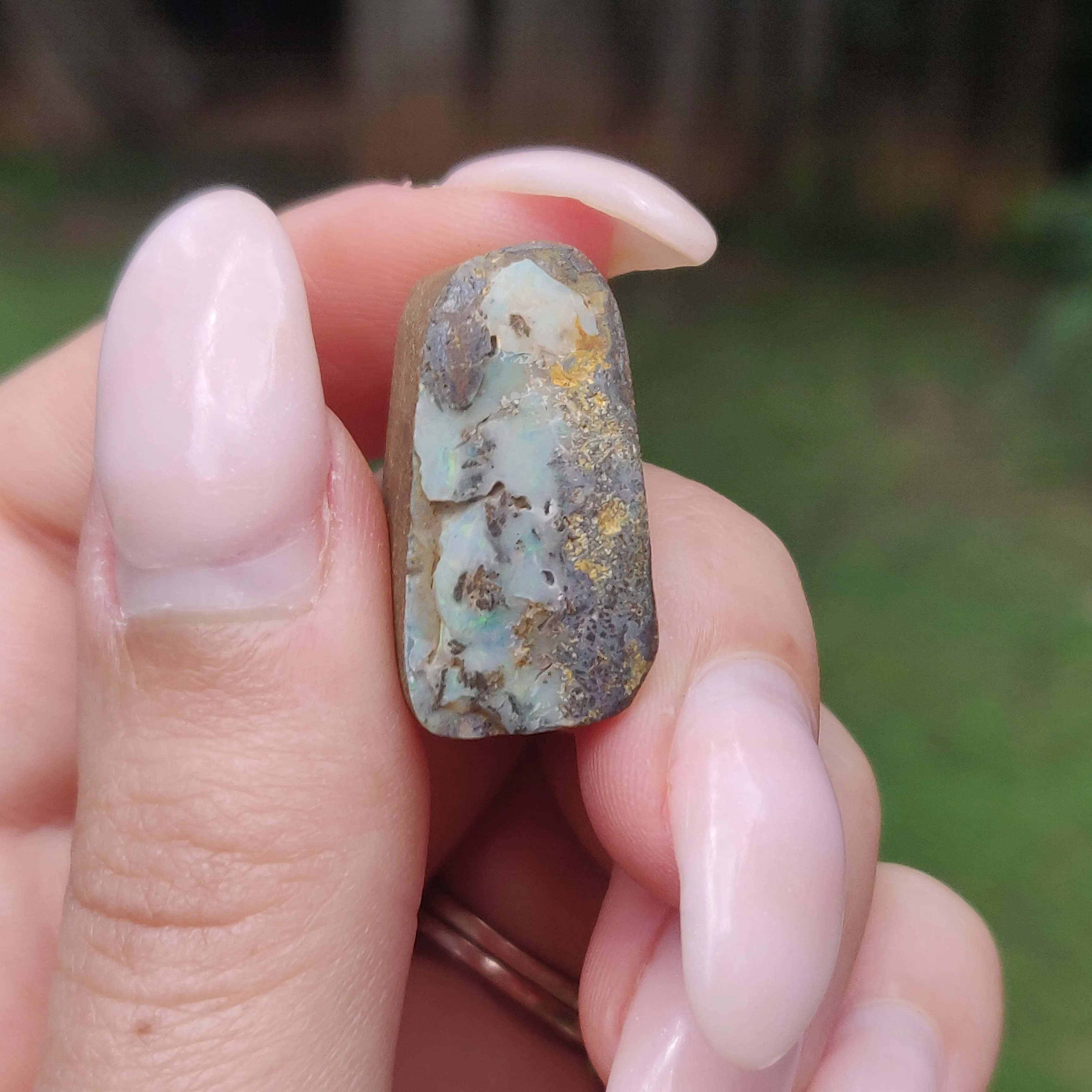 Australian Boulder Opal Rough Specimen(#8)
