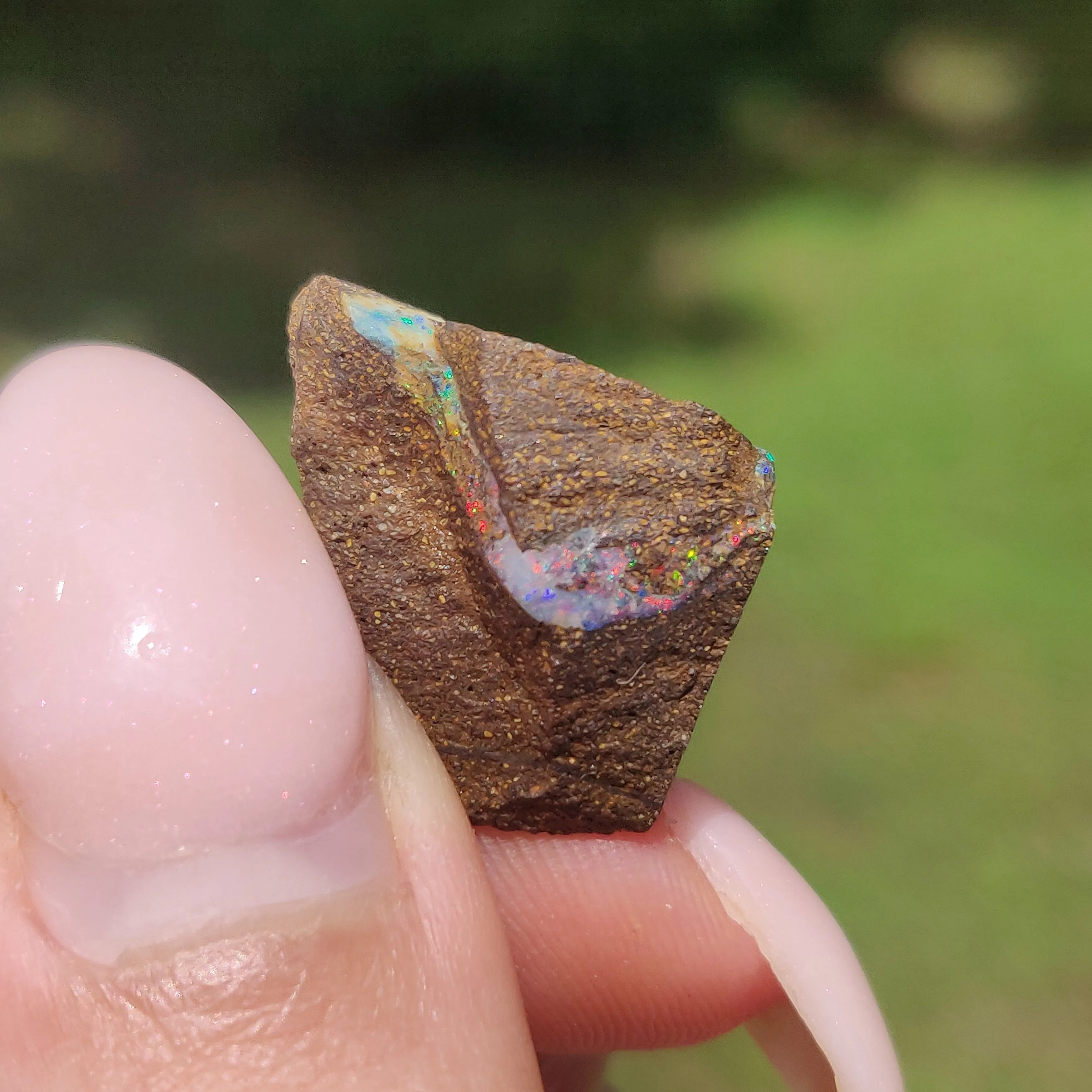 Australian Boulder Opal Rough Specimen(#9)