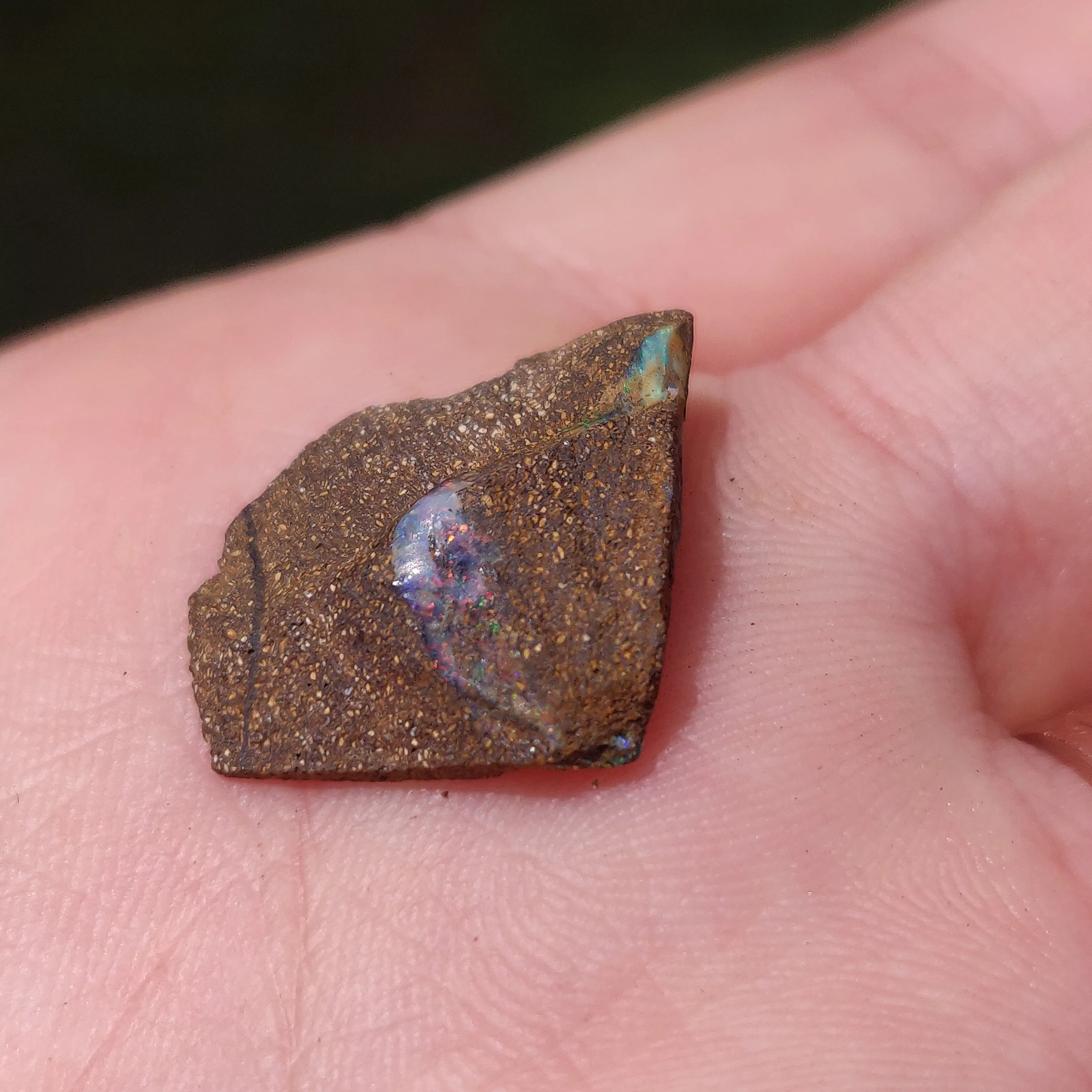 Australian Boulder Opal Rough Specimen(#9)