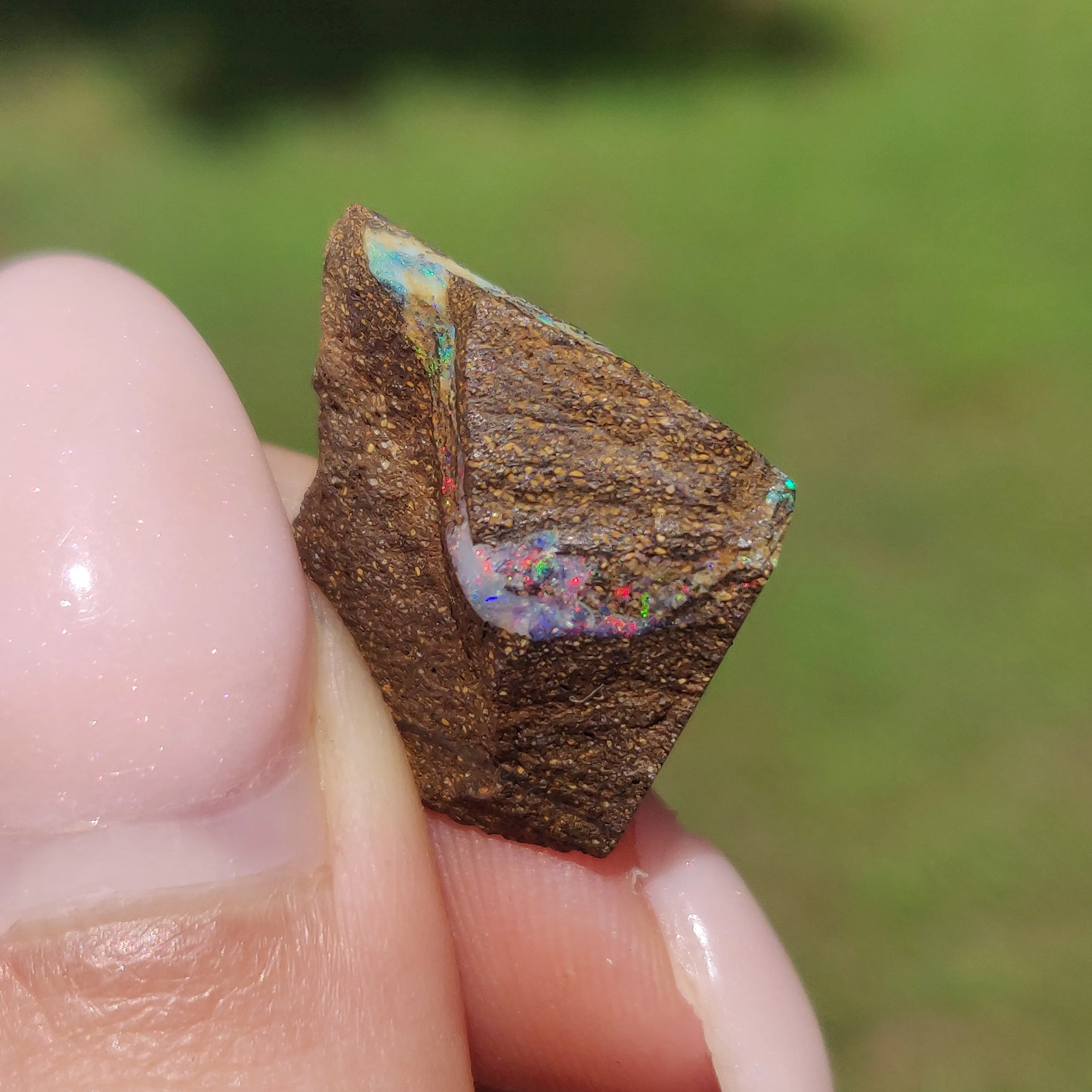 Australian Boulder Opal Rough Specimen(#9)