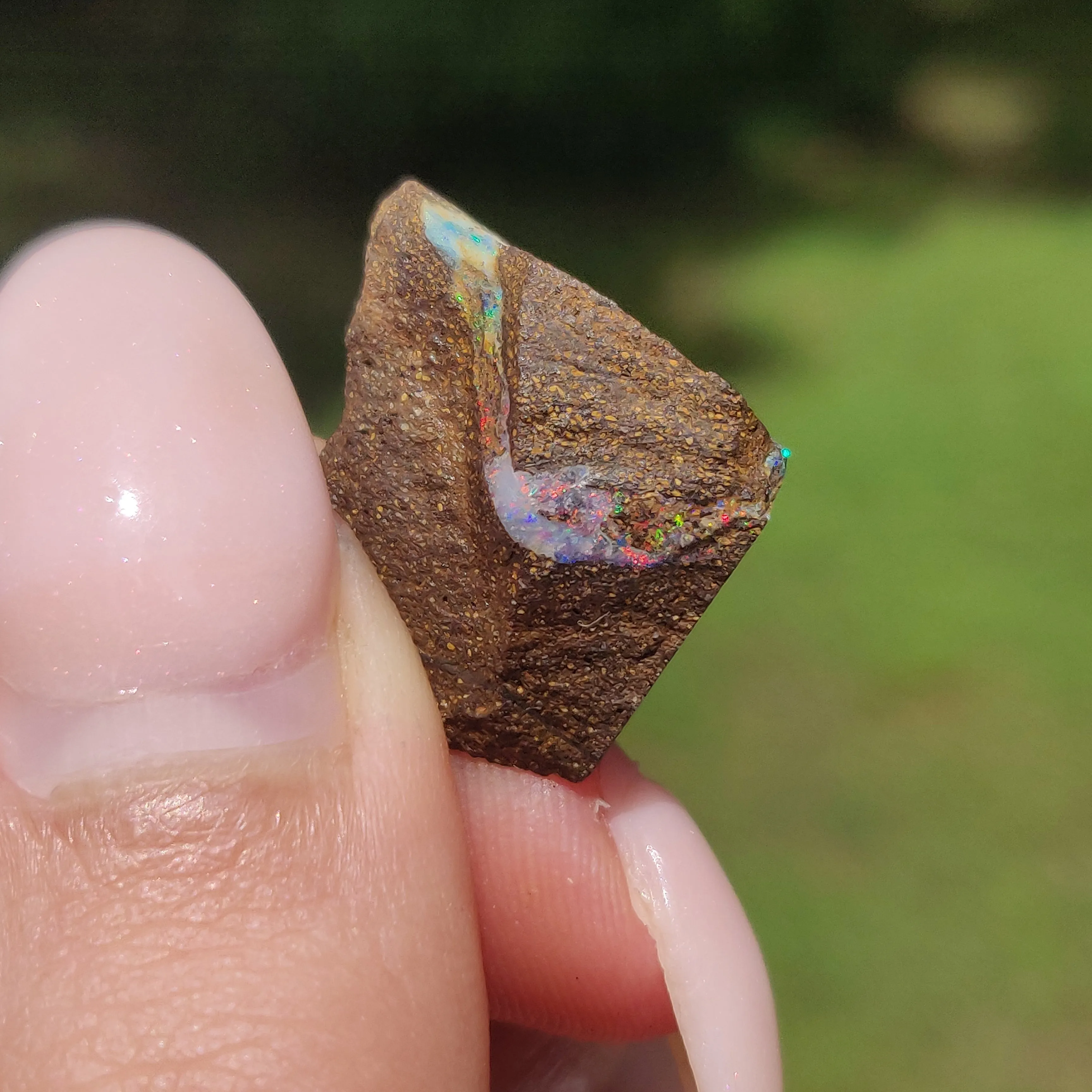 Australian Boulder Opal Rough Specimen(#9)