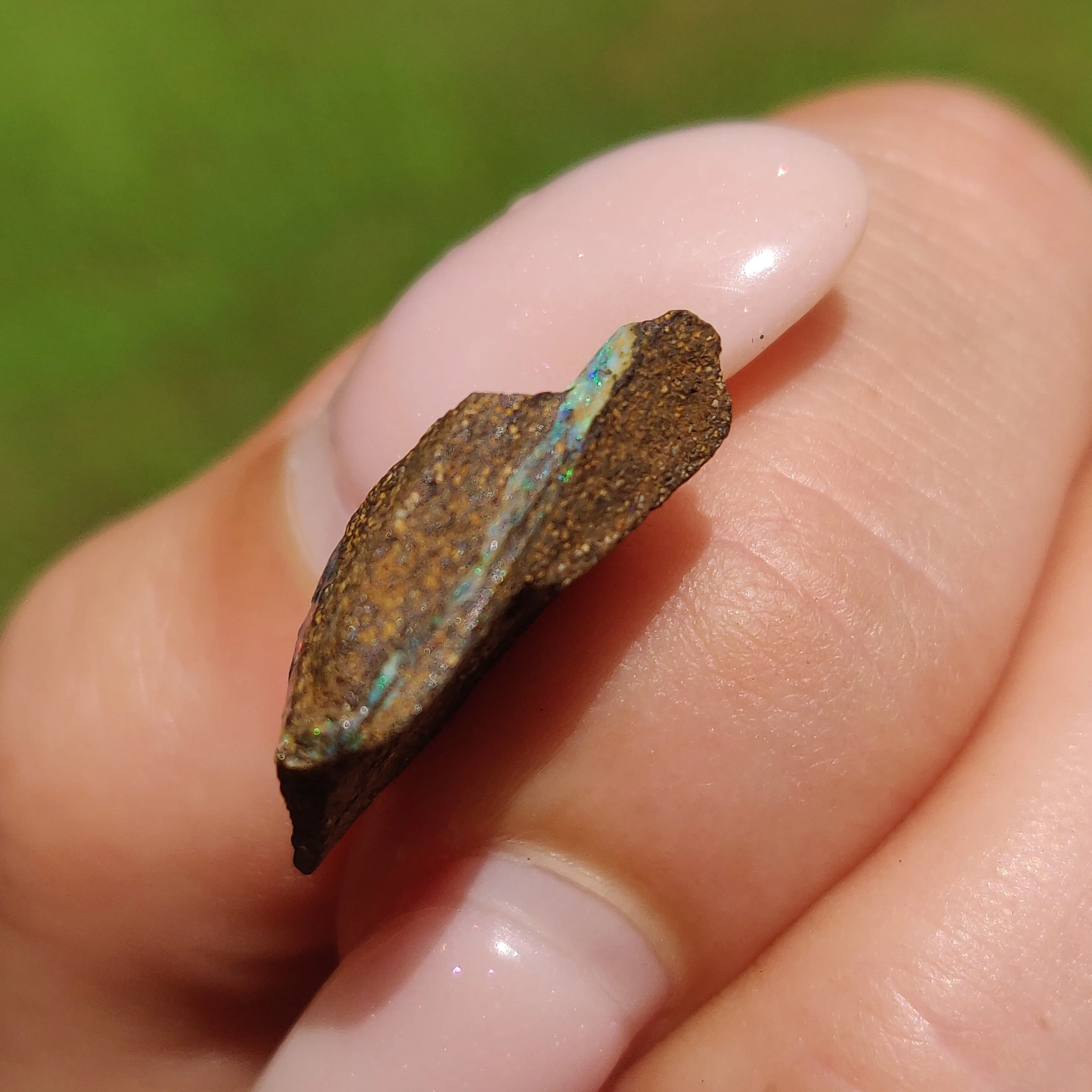 Australian Boulder Opal Rough Specimen(#9)
