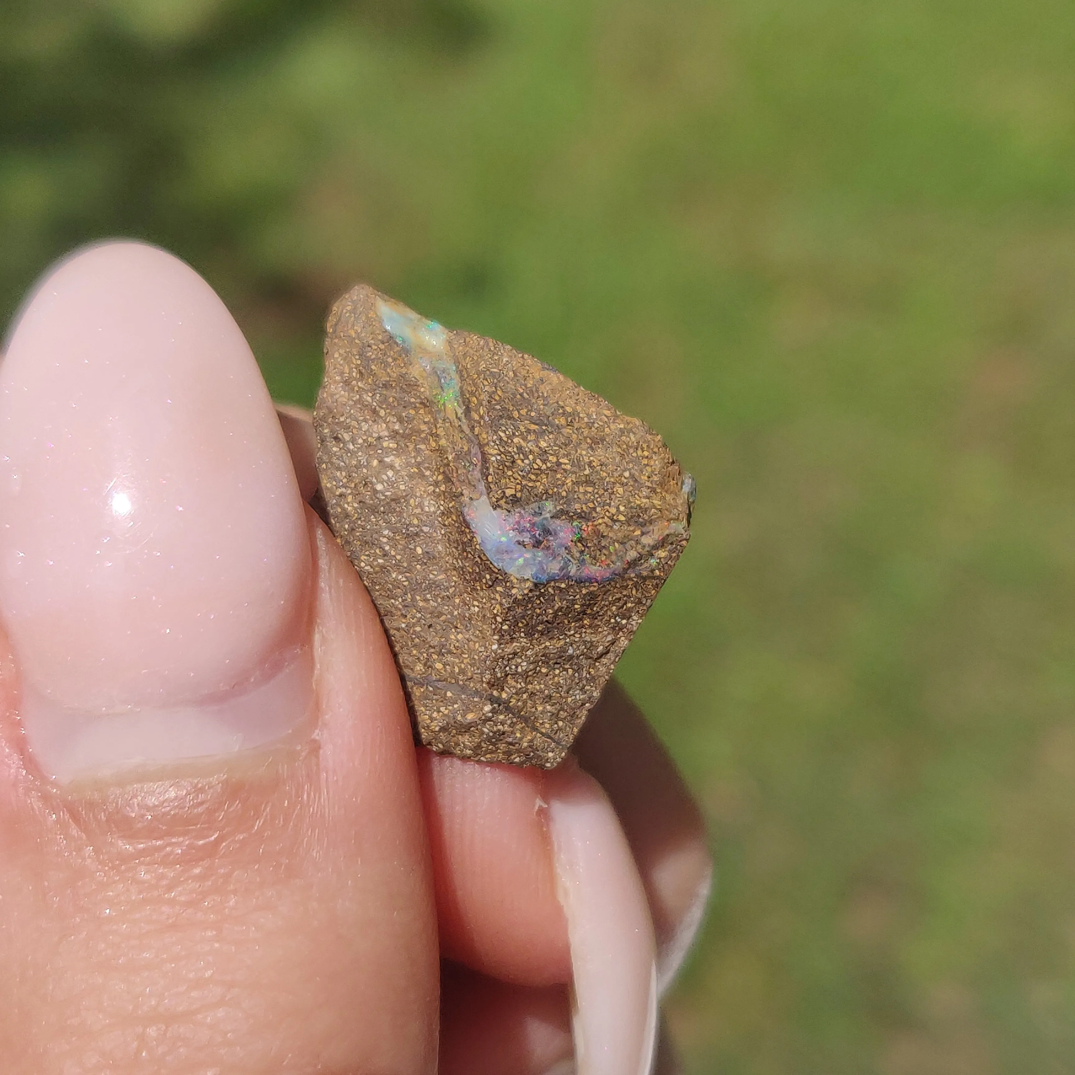 Australian Boulder Opal Rough Specimen(#9)