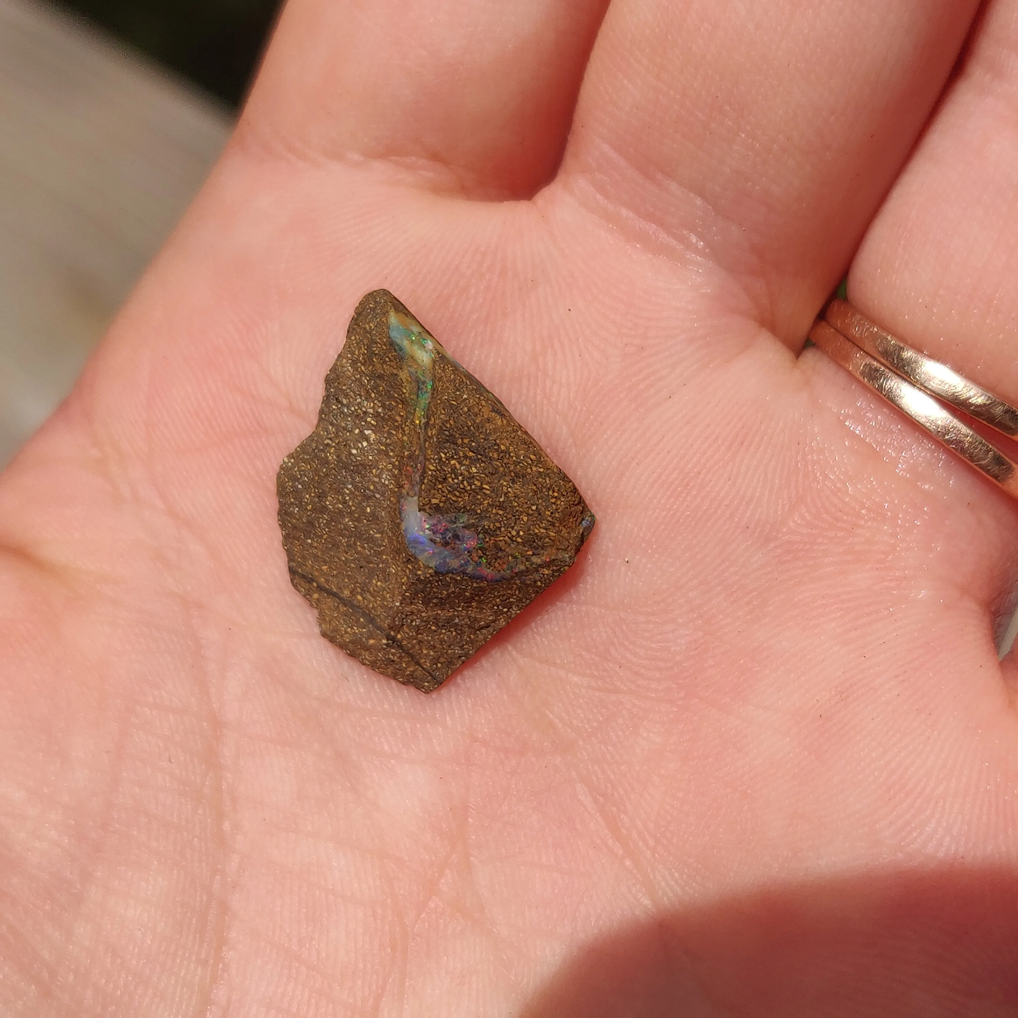 Australian Boulder Opal Rough Specimen(#9)