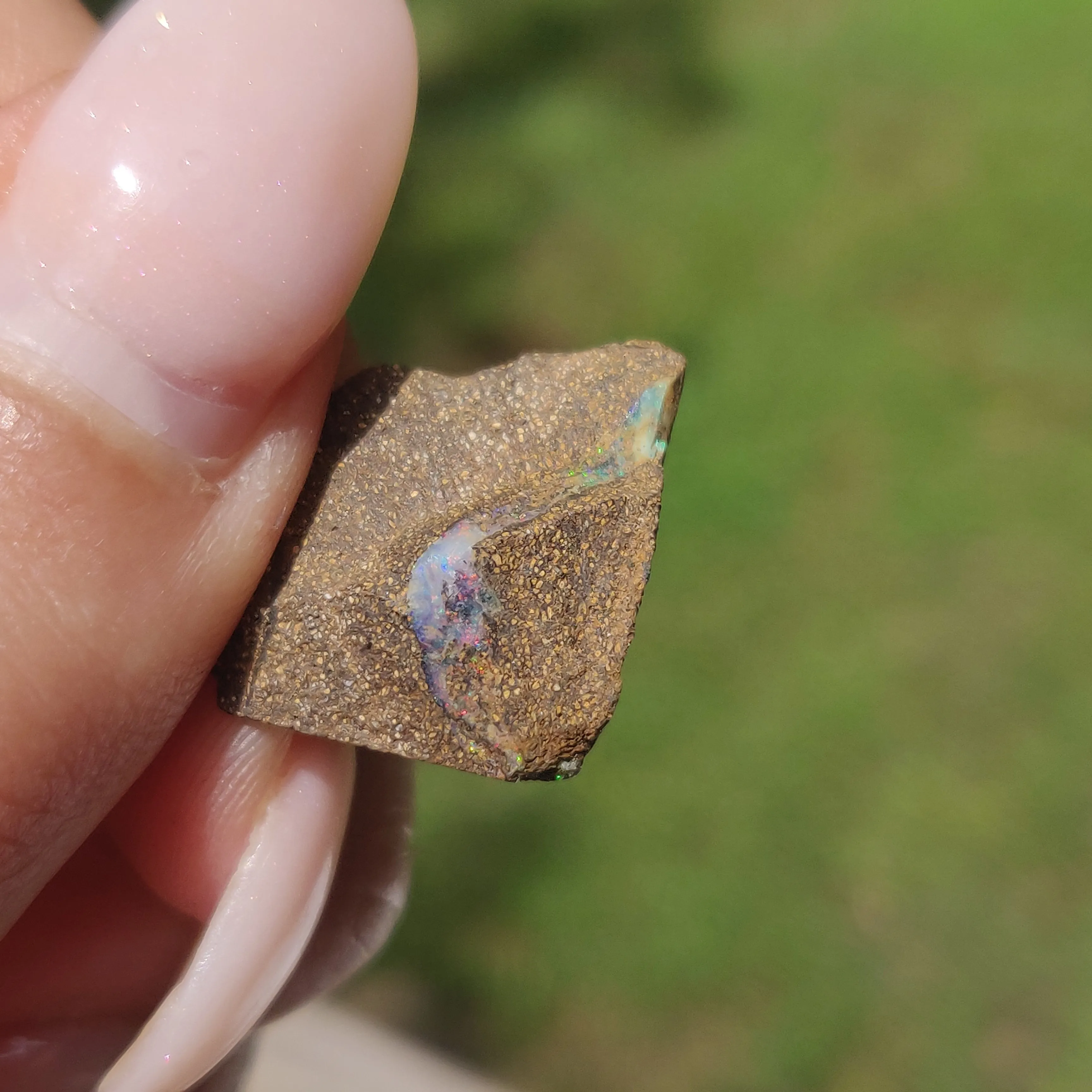 Australian Boulder Opal Rough Specimen(#9)