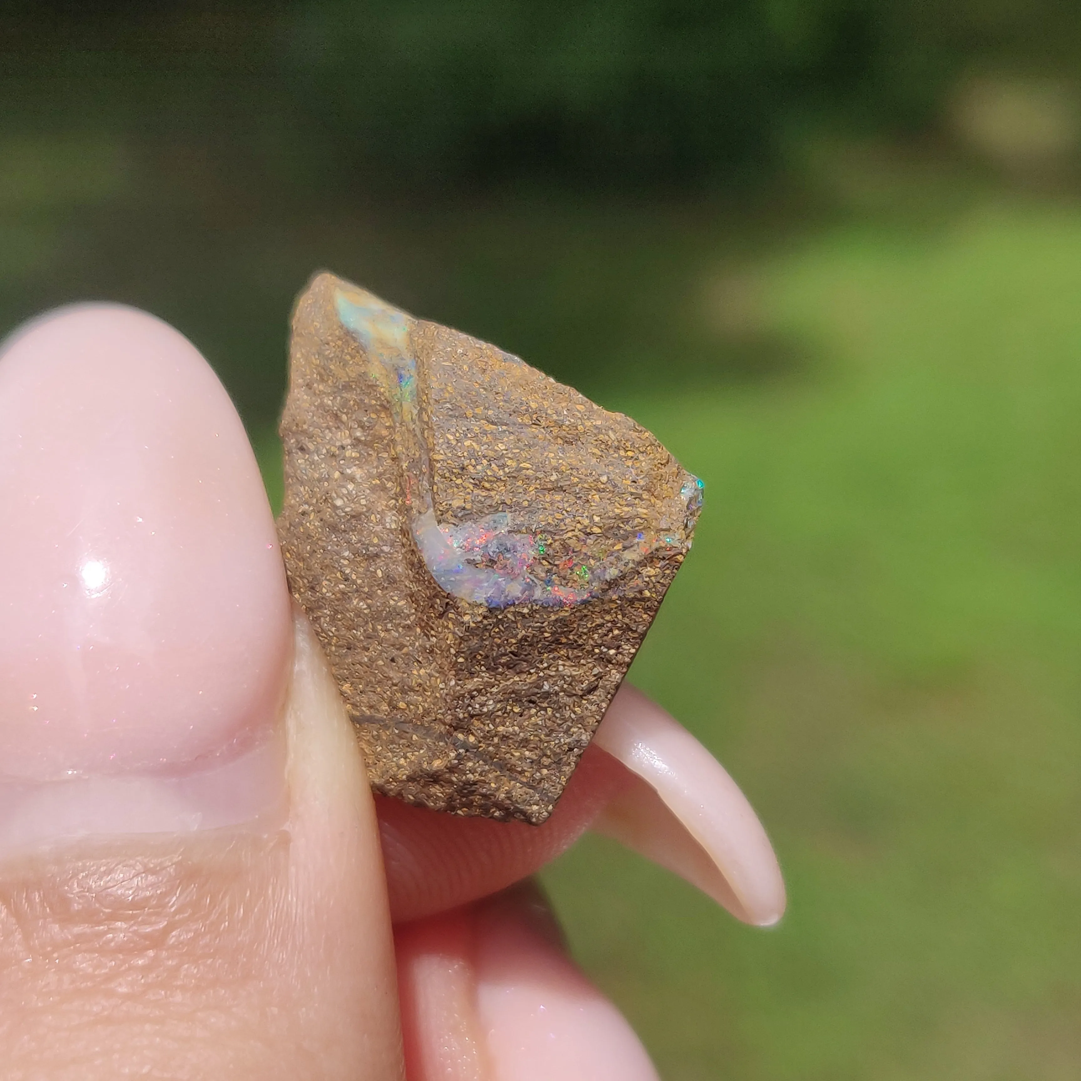 Australian Boulder Opal Rough Specimen(#9)