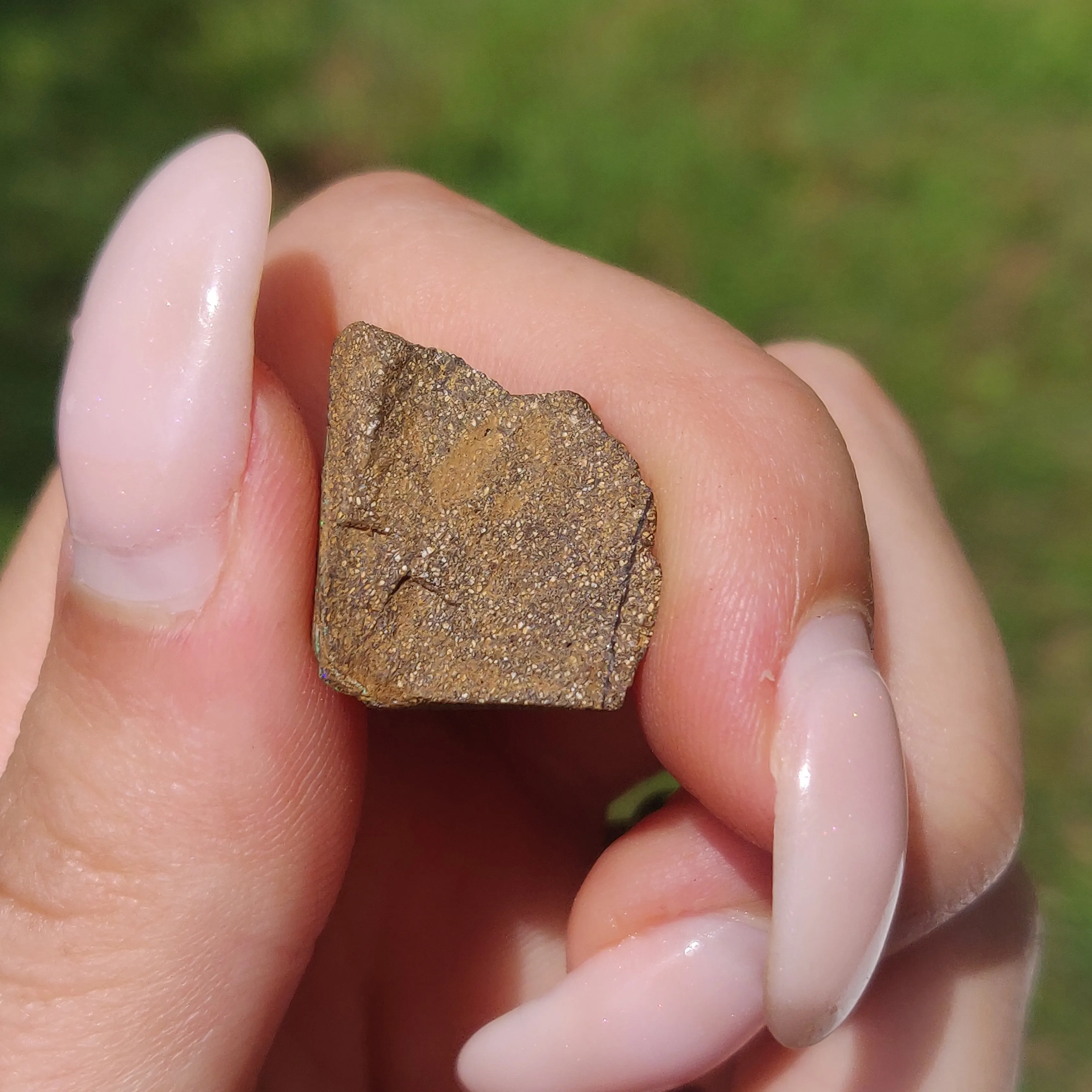 Australian Boulder Opal Rough Specimen(#9)