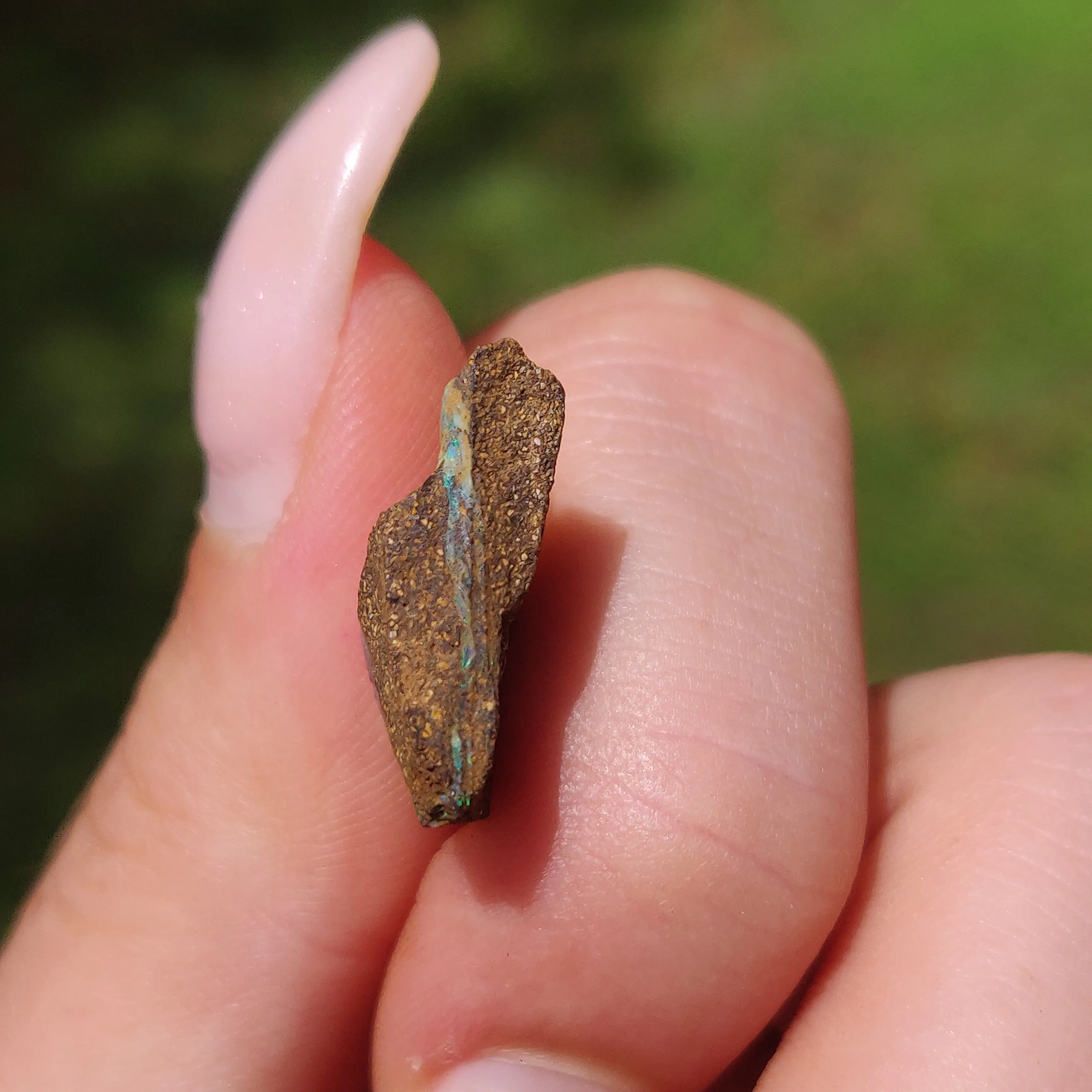 Australian Boulder Opal Rough Specimen(#9)