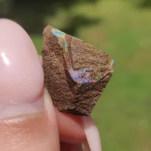 Australian Boulder Opal Rough Specimen(#9)