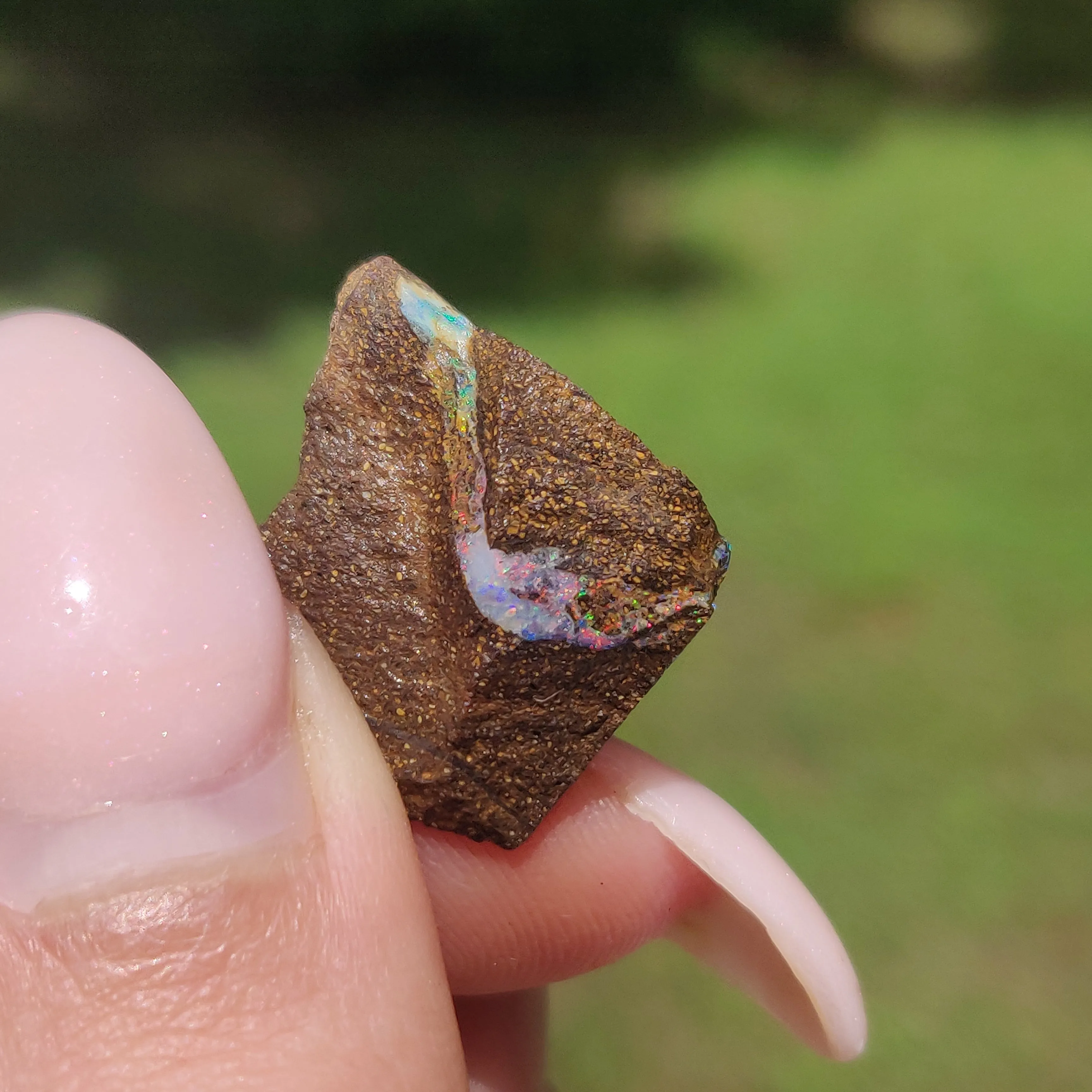 Australian Boulder Opal Rough Specimen(#9)