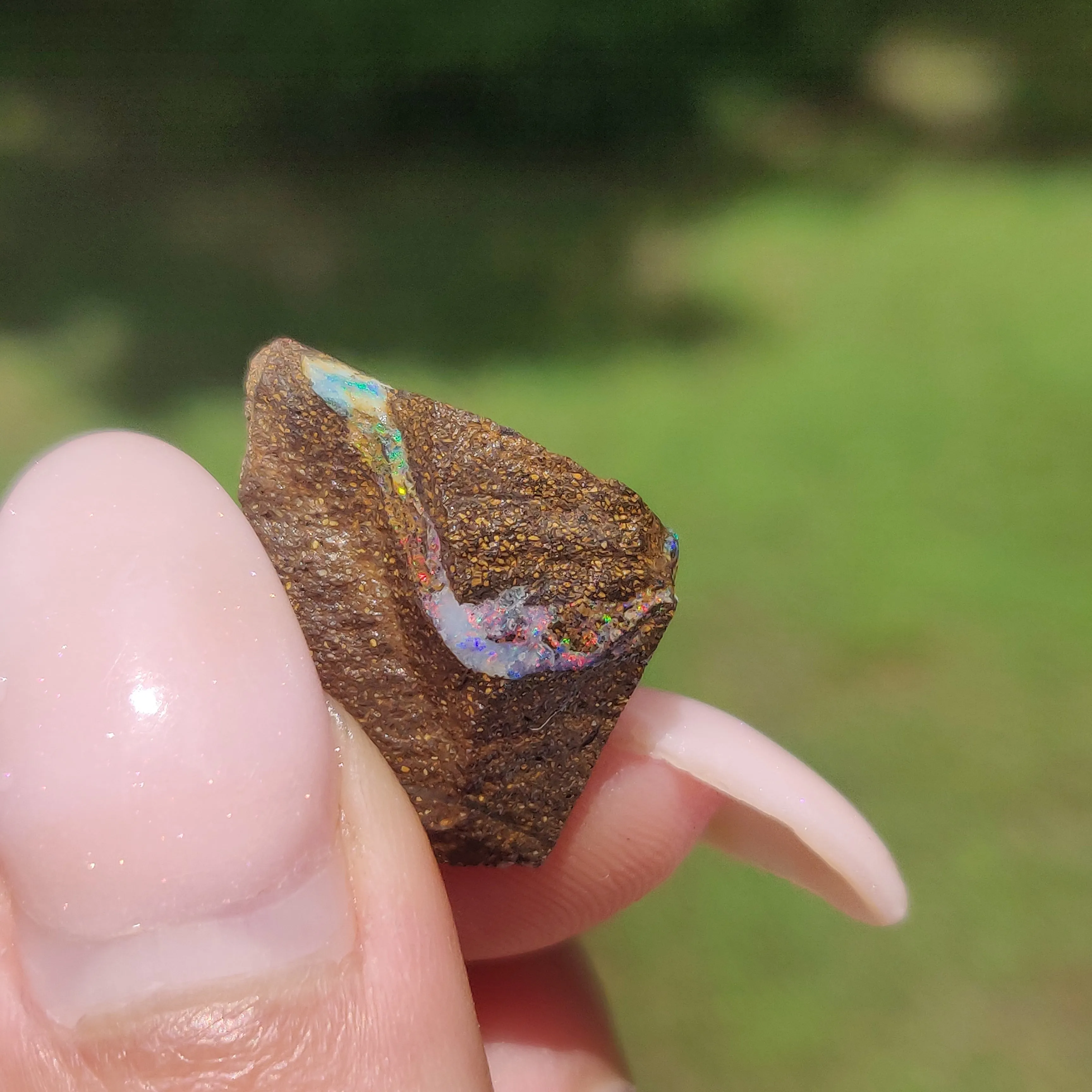 Australian Boulder Opal Rough Specimen(#9)
