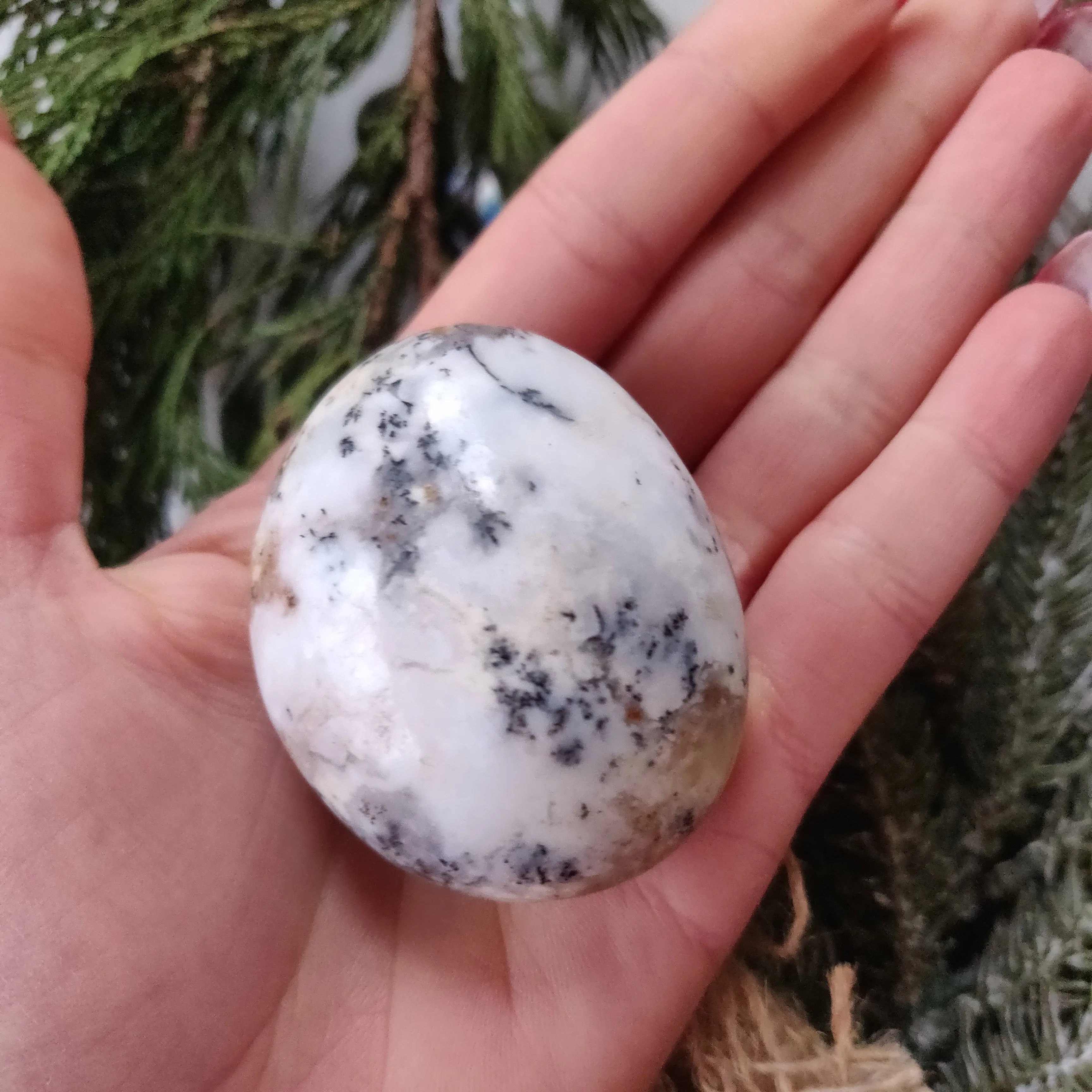 Dendritic Opal  Palm Stone (#23)