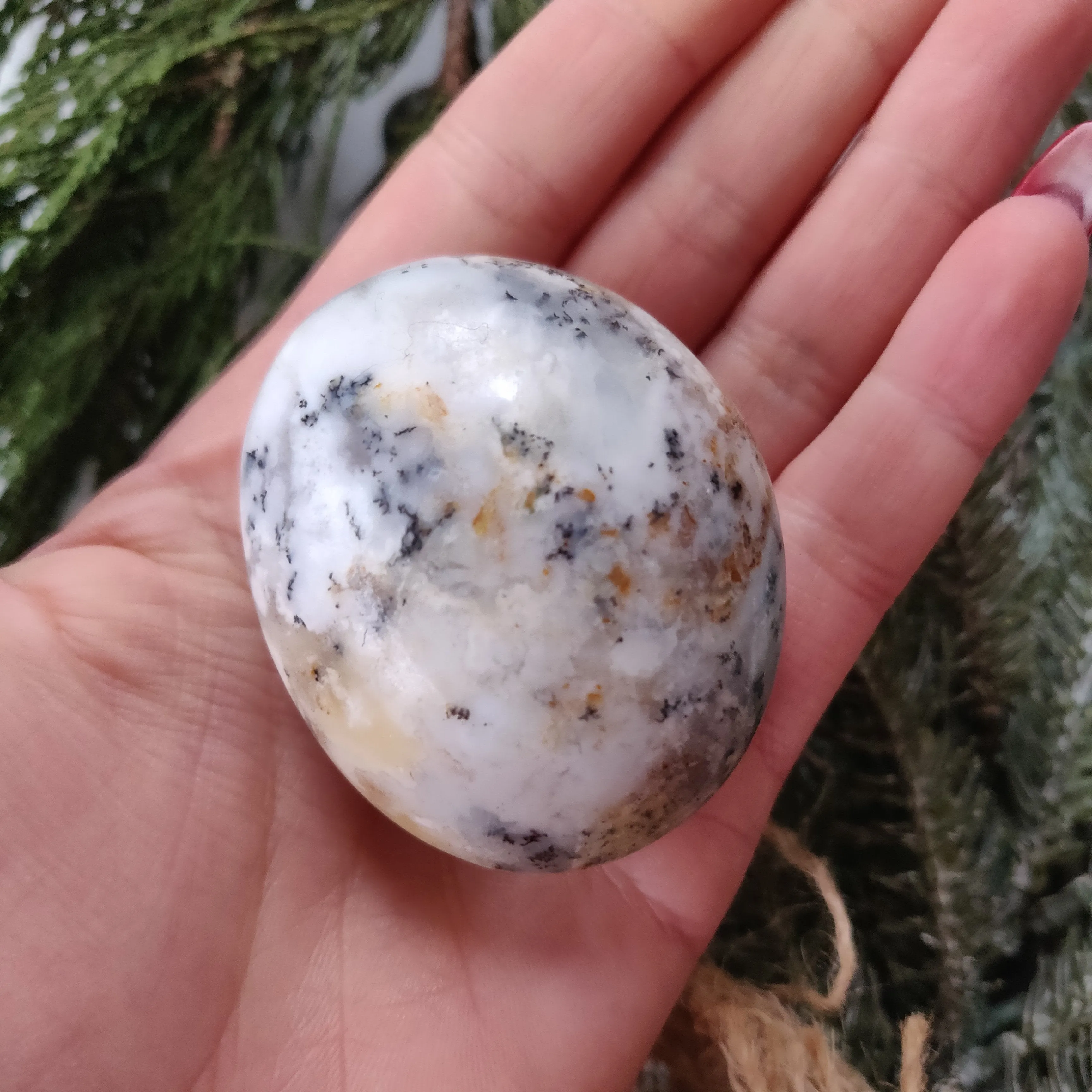 Dendritic Opal  Palm Stone (#23)