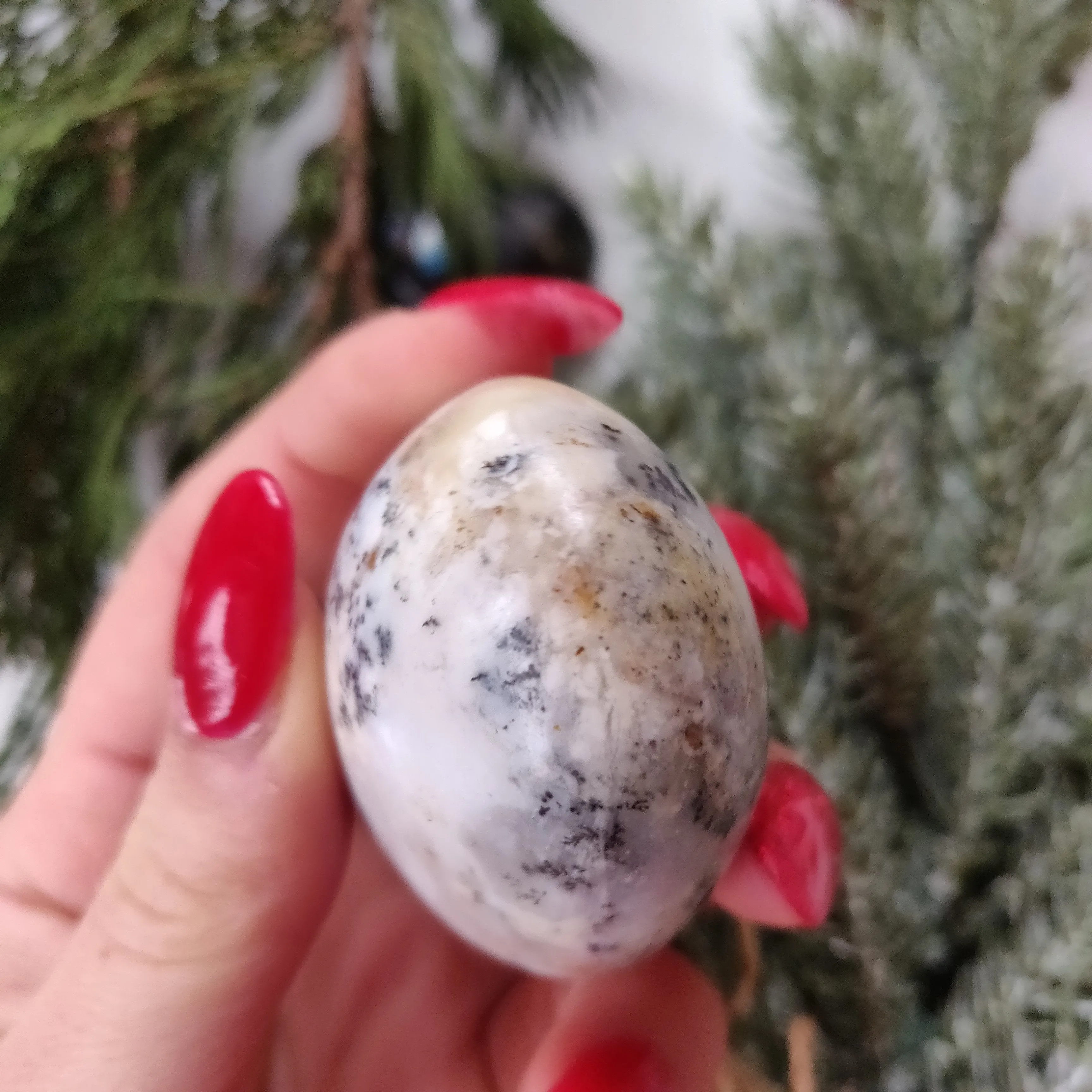 Dendritic Opal  Palm Stone (#23)