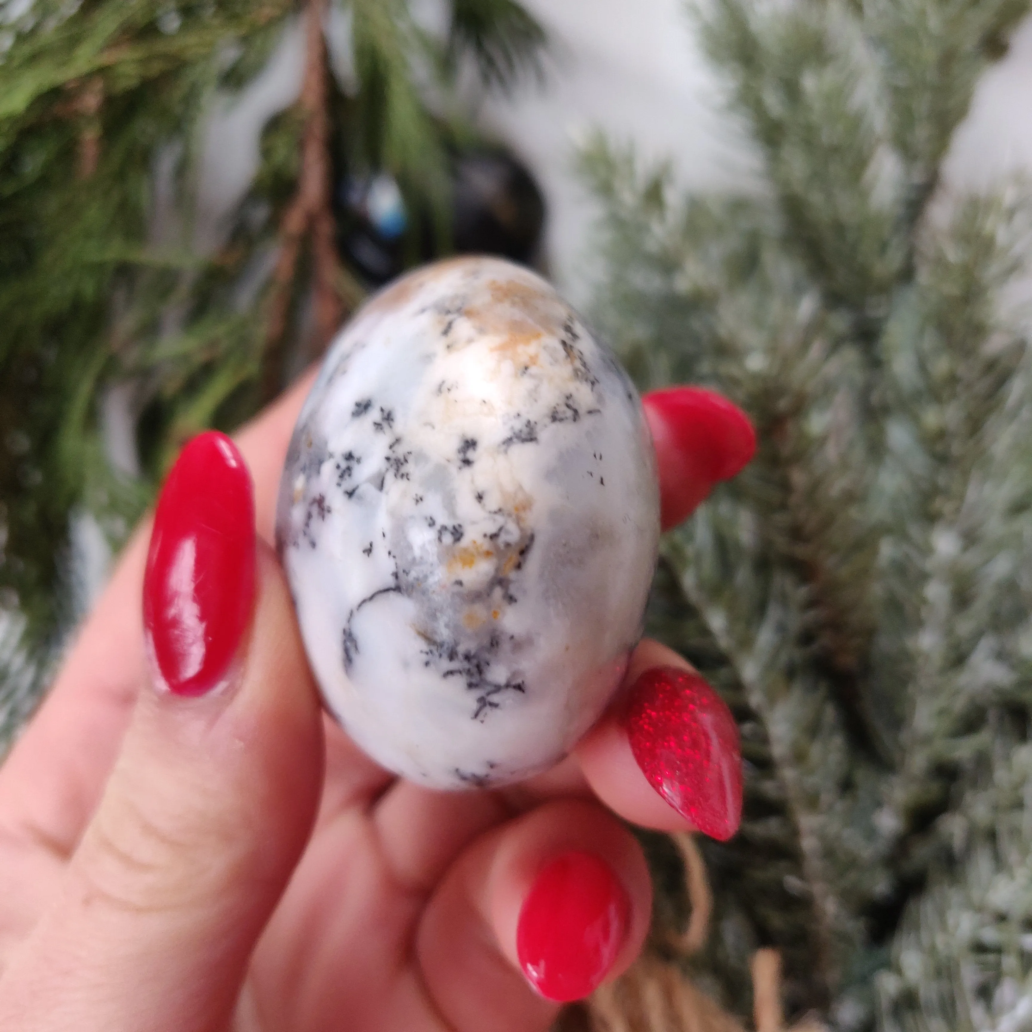 Dendritic Opal  Palm Stone (#23)