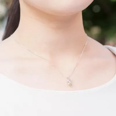 [Pokémon]Jolteon & Pokéball necklace platinium